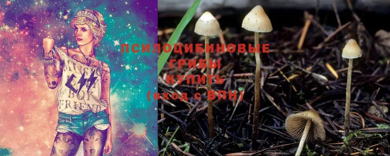 Галлюциногенные грибы Magic Shrooms  Уржум 